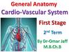 Cardiovascular system