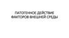 Патогенное действие факторов внешней среды. Занятие 2