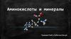 Аминокислоты и минералы
