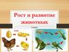 Рост и развитие животных