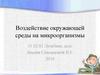 Воздействие окружающей среды на микроорганизмы