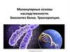 Молекулярные основы наследственности. Биосинтез белка. Транскрипция