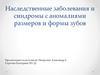 Наследственные заболевания и синдромы с аномалиями размеров и формы зубов