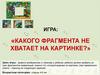 Игра: «Какого фрагмента не хватает на картинке?»