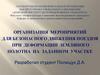 Организация мероприятий для безопасного движения поездов при деформации земляного полотна на заданном участке