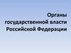 Органы государственной власти Российской Федерации. Тема 8. Лекция 10