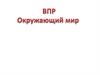 Примерная работа по ВПР (окружающий мир)