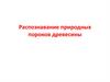 Распознавание природных пороков древесины