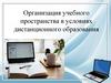 Организация учебного пространства в условиях дистанционного образования