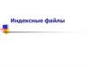Индексные файлы. Структура индексного файла