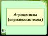 Агроценозы (агроэкосистемы)