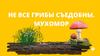 Не все грибы съедобны. Мухомор