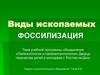 Виды ископаемых. Фоссилизация