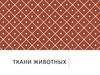 Ткани животных