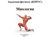 Миология. Академия фитнеса «Корус»
