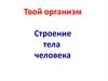 Твой организм