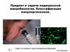Предмет и задачи медицинской микробиологии. Классификация микроорганизмов