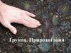 Ґрунти. Природні зони