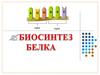 Биосинтез белка