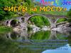 Поле чудес. Игры на мосту