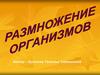 Размножение организмов. Индивидуальное развитие организма. Индивидуальное развитие человека