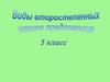 Виды второстепенных членов предложения