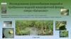 Исследование разнообразия водной и прибрежно-водной макрофитной флоры озера «Батаково»