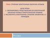 Строение электронных оболочек атомов