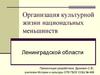 Организация культурной жизни национальных меньшинств