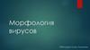 Морфология вирусов