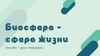 Биосфера - сфера жизни