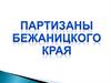 Партизаны Бежаницкого края