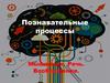 Познавательные процессы. Мышление. Речь. Воображение