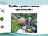 Зачем в лесу грибы. Грибы –уникальные организмы