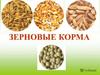 Зерновые корма