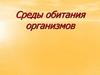 Среды обитания организмов