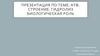 АТФ. Строение. Гидролиз биологическая роль