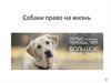 Собаки - право на жизнь
