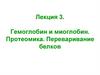 Гемоглобин и миоглобин. Протеомика. Переваривание белков. Лекция 3