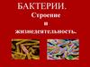 Характеристика царства Бактерии
