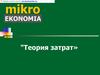 Теория затрат