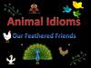 Animal Idioms. Our Feathered Friends