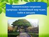 Удивительное творение природы - волшебный мир чудес, тайн и загадок