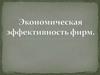 Экономическая эффективность фирм