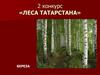 Конкурсно-игровая программа «Здесь Родины моей начало». 2 часть