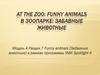 Funny animals в зоопарке: забавные животные