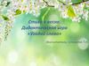 Стихи о весне. Дидактическая игра «Угадай слово»