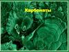 Карбонаты. Лекция 12