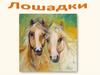 Лошадки - удивительные животные