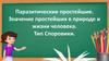 Паразитические простейшие. Значение простейших в природе и жизни человека. Тип Споровики